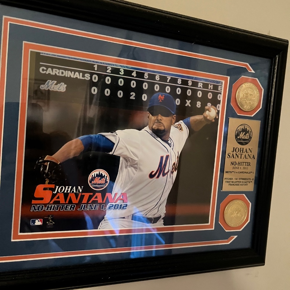 Mets plagues - Picture 4 of 7